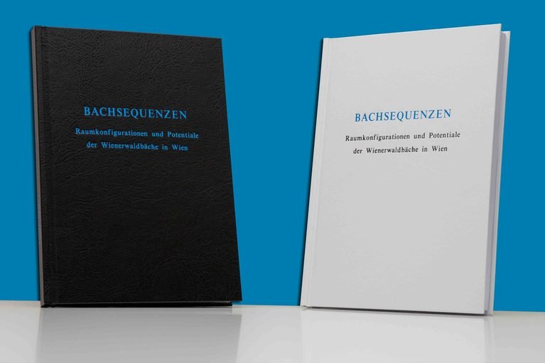 How to Print and Bind Your Thesis in Germany (Without the Last-Minute Panic)