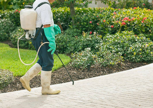 Keep Your Home Bite-Free with Smart Bug Spray Solutions