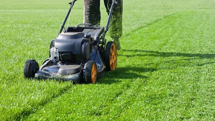 Why Your Lawn Deserves More Than Just a Weekly Mow
